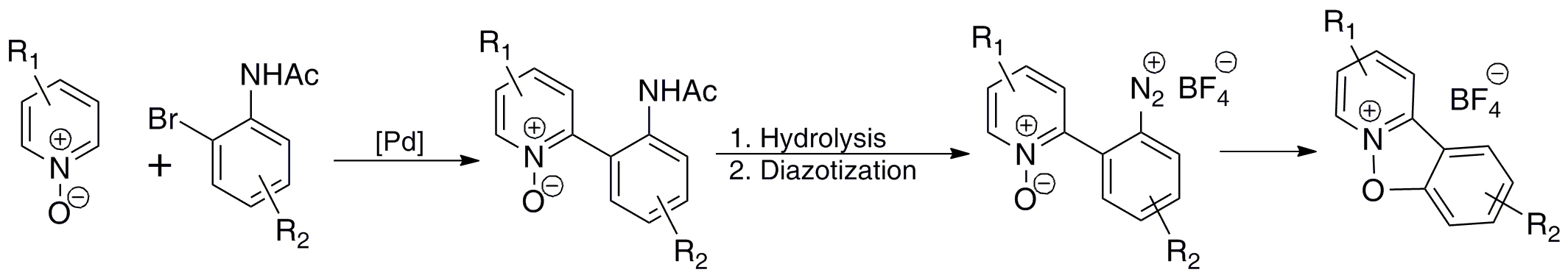Benzisoxazolopyridinium